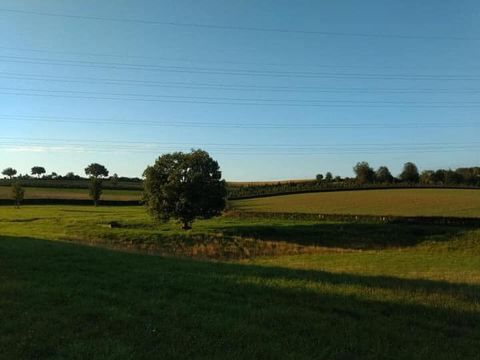Vodatent Camping la Dolce Vita - Voerendaal - Image N°35