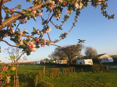 Vodatent Camping la Dolce Vita - Voerendaal - Image N°8