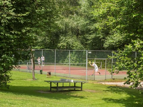 Landal Recreatiepark De Tolplas - Wierden