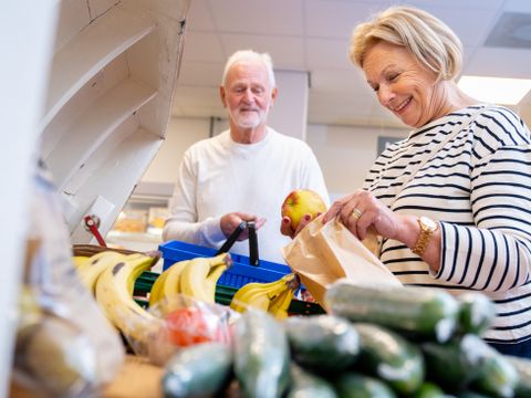 Landal Marinapark Volendam - Edam-Volendam - Image N°8