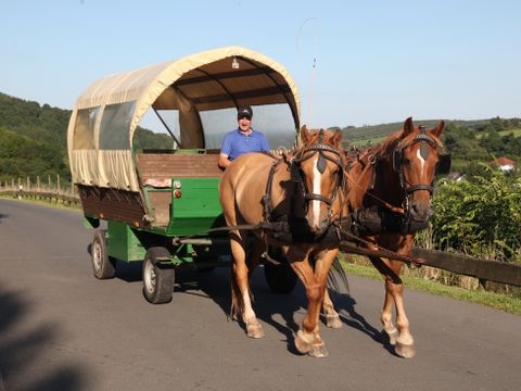 Roompot Eifelpark Kronenburger See - North Rhine-Westphalia
