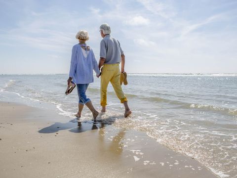 Landal Breeduyn Village - West Flanders