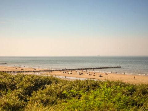 Landal Hof Domburg - Veere
