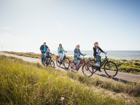 Landal Hof Domburg - Veere - Image N°4