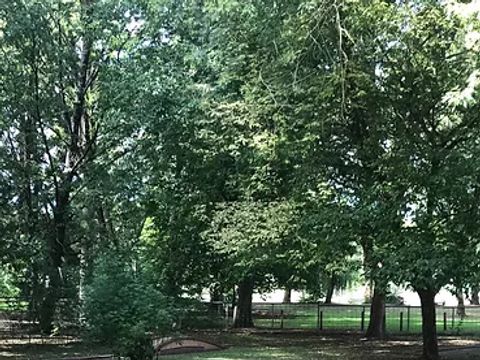 Camping La Nouvelle Plage - Indre-et-Loire