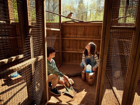 Center Parcs Le Bois aux Daims - Vienne 