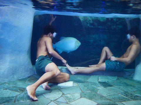 Center Parcs Le Bois aux Daims - Vienne 