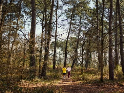 Center Parcs Le Bois aux Daims - Vienne 