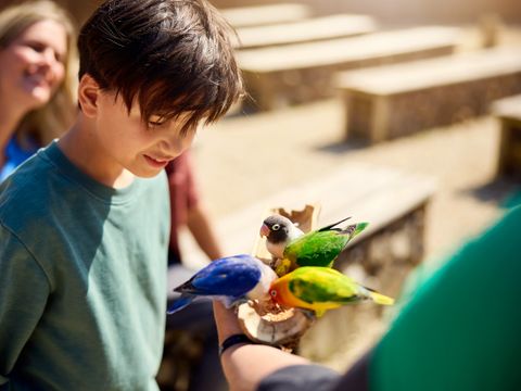 Center Parcs Le Bois aux Daims - Vienne 