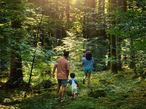 Center Parcs Les Trois Forêts - Moselle - Image N°4