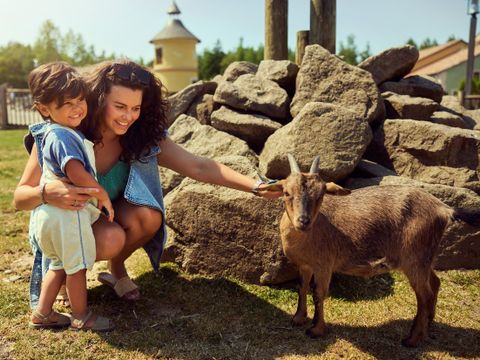 Center Parcs Les Trois Forêts - Moselle - Image N°3
