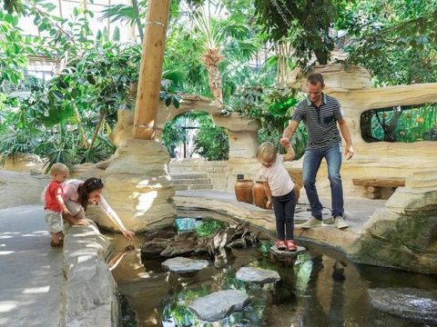 Center Parcs Les Trois Forêts - Camping Moselle - Image N°5