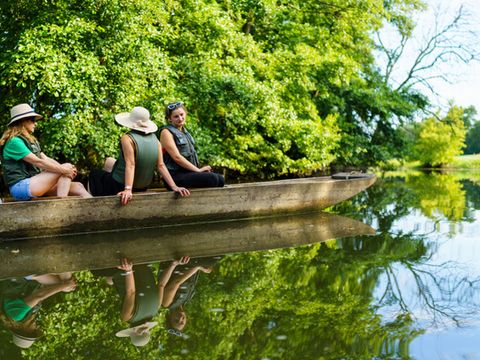 Camping Coeur d'Alsace - Bas-Rhin