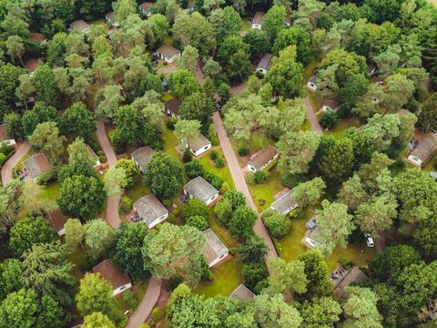 Landal Bospark De Schaapskooi - Epe - Image N°0