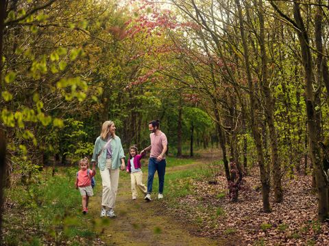 Center Parcs Het Meerdal - Horst an der Maas