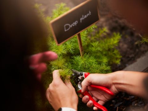 Center Parcs Het Meerdal - Horst an der Maas