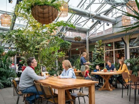 Landal Coldenhove - Brummen