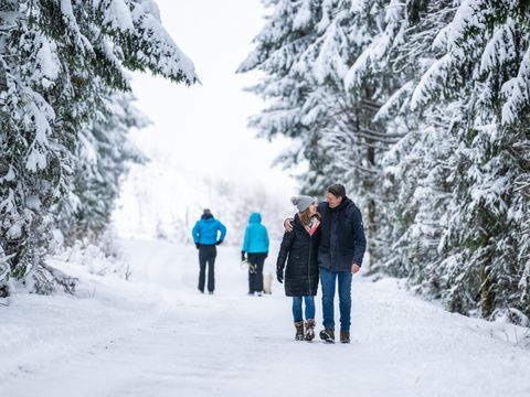 Landal Salztal Paradies - Lower Saxony