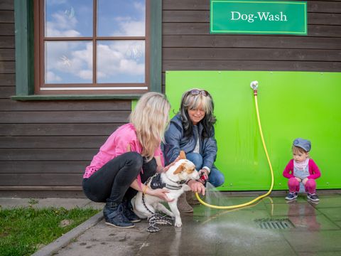 Landal Salztal Paradies - Lower Saxony