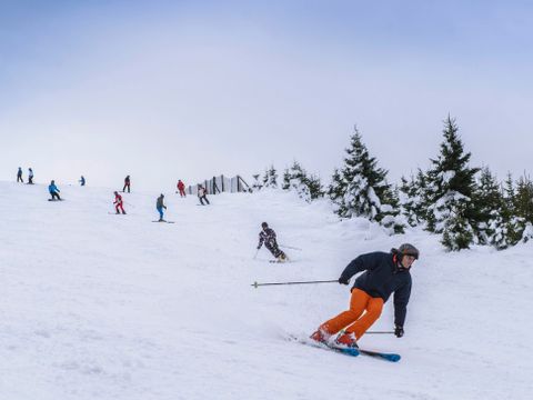 Landal Salztal Paradies - Lower Saxony