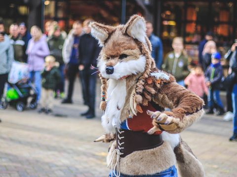 Attractie- & Vakantiepark Slagharen - Hardenberg - Image N°4