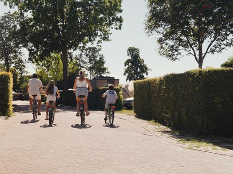 Villapark De Paardekreek - Nord-Beveland - Image N°2