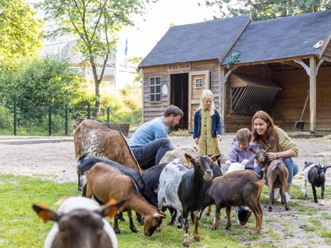 Sunparks Kempense Meren - Antwerp