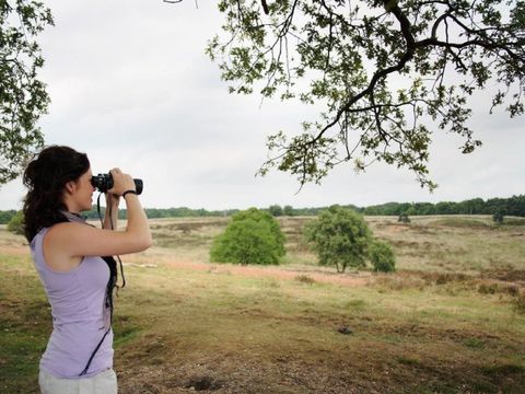 Bungalowpark Schuttersoord - Mook en Middelaar