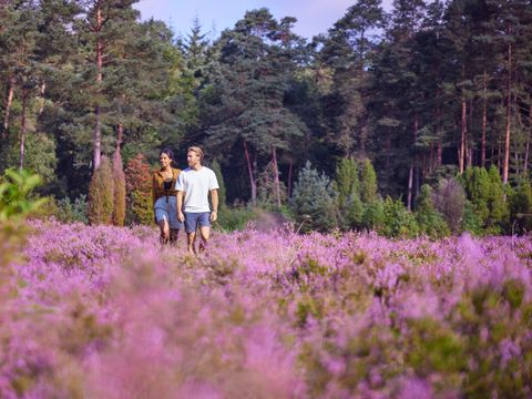 Center Parcs Bispinger Heide - Lower Saxony