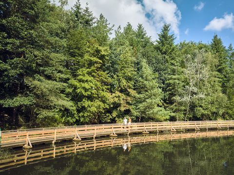 Center Parcs Bispinger Heide - Lower Saxony - Image N°4