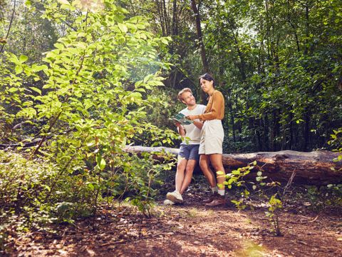 Center Parcs Bispinger Heide - Lower Saxony