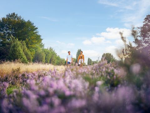 Center Parcs Bispinger Heide - Lower Saxony - Image N°5