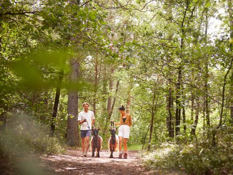 Center Parcs Bispinger Heide - Lower Saxony