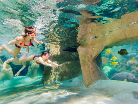 Center Parcs De Vossemeren - Belgian Limburg