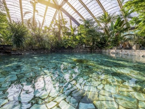 Center Parcs Park Erperheide - Belgian Limburg