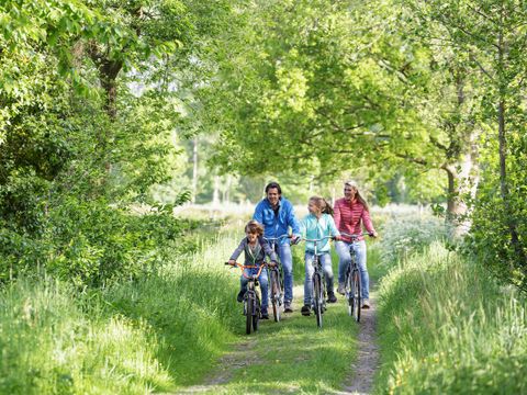 Center Parcs Park Erperheide - Belgian Limburg