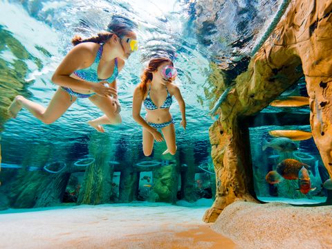 Center Parcs Park Erperheide - Belgian Limburg