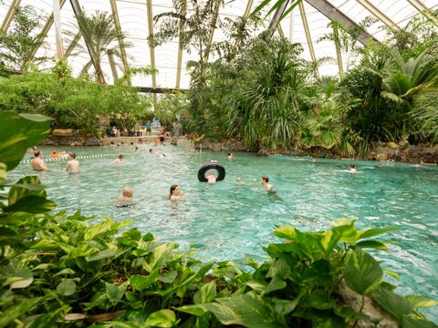 Center Parcs Park Erperheide - Belgian Limburg