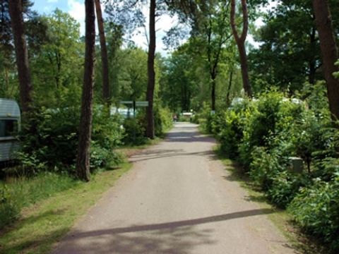 Buitencentrum Hessenheem - Hof von Twente - Image N°8