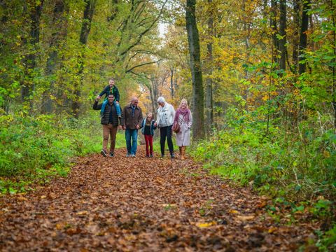 EuroParcs Brunssummerheide - Brunssum