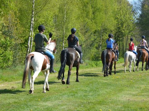 Vakantiepark De Lourenshoeve - Twenterand - Image N°18