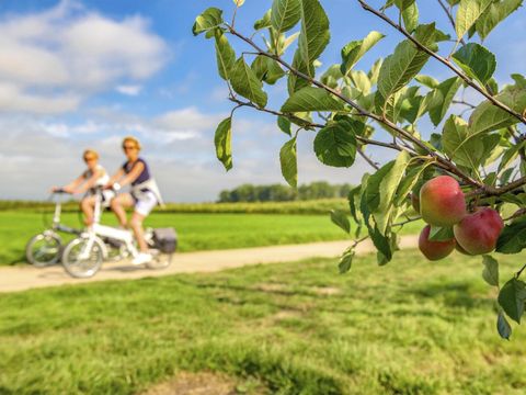 Holiday Suites Limburg - Belgian Limburg