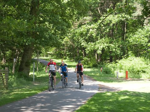 Holiday Suites Limburg - Belgian Limburg