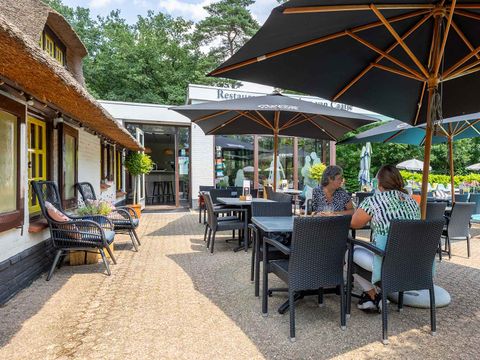 Molecaten Park De Leemkule - Hattem