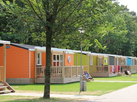 Molecaten Park Bosbad Hoeven - Halderberge - Image N°15