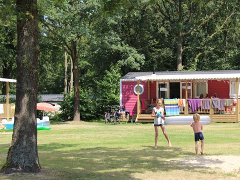 Molecaten Park Bosbad Hoeven - Halderberge - Image N°17