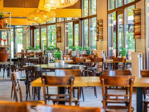 Molecaten Park Bosbad Hoeven - Halderberge