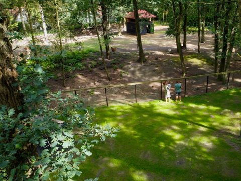 Recreatiecentrum Adelhof - Westerveld - Image N°9