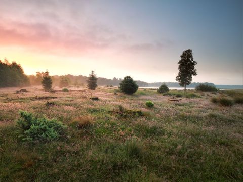 Recreatiecentrum Adelhof - Westerveld - Image N°10
