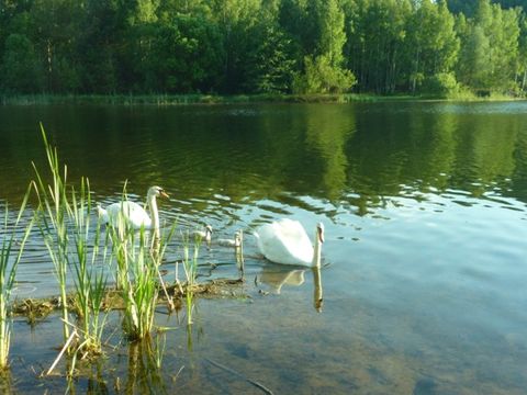 Stausee Oberwald - Sax - Image N°9